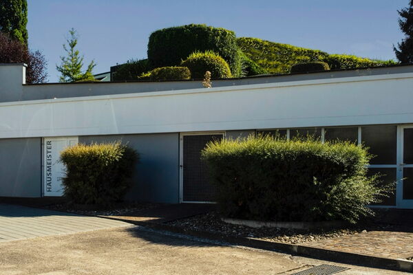Flacher Bürobau, dessen Dachkante von einer hohen Hecke gesäumt wird